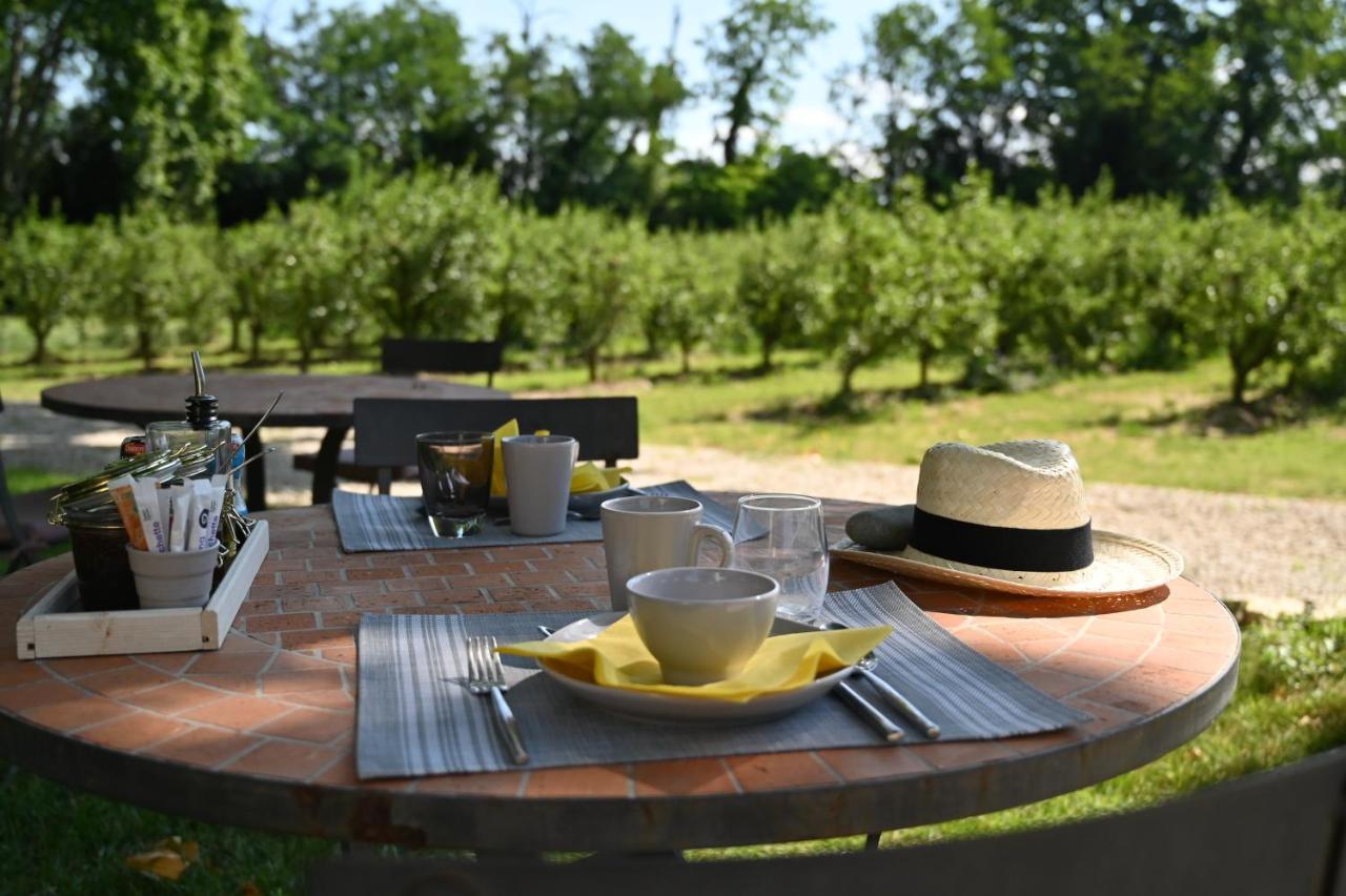 Bed and Breakfast Mas De Capelou Avignon Exterior foto