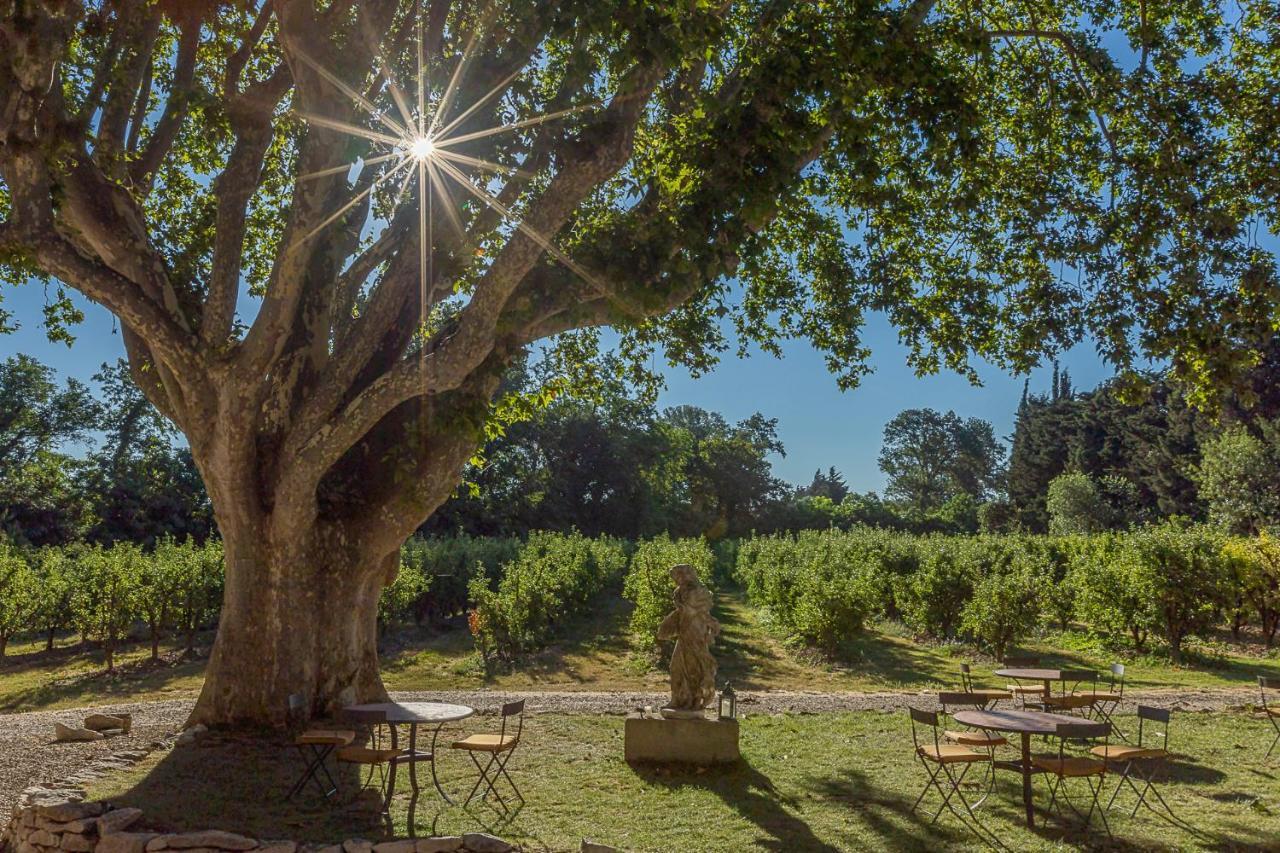 Bed and Breakfast Mas De Capelou Avignon Exterior foto